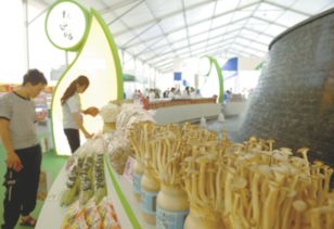 規模大、檔次高、印象深 打造邢臺農產品新形象的“正餐服務”之道